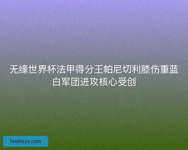 无缘世界杯法甲得分王帕尼切利膝伤重蓝白军团进攻核心受创
